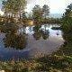 Lagoa calma rodeada de pinheiros, rochas e vegetação, com céu nublado refletido na água.