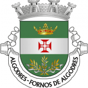 Brasão de Algodres com coroa, cruz templária e ramos de trigo em campo verde e branco