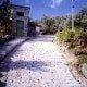 Caminho pavimentado em aldeia rural ladeado por vegetação e edifício de alvenaria