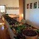 Mesa comprida com variedade de frutas e produtos agrícolas frescos num espaço interior com fotografias nas paredes