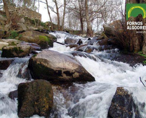 Cascata de rio com múltiplas quedas de água entre rochas cobertas de musgo e árvores decíduas. — ampliar imagem