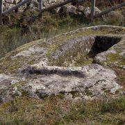 Sepulturas escavadas em rocha granítica com musgo, cercadas por vegetação e caniços de madeira. — ampliar imagem