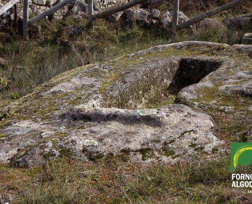 Sepulturas escavadas em rocha granítica com musgo, cercadas por vegetação e caniços de madeira. — ampliar imagem