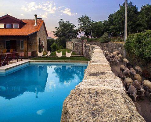 Vivenda com telhado de telha cerâmica laranja, piscina azul, caminho de pedra e vegetação envolvente.