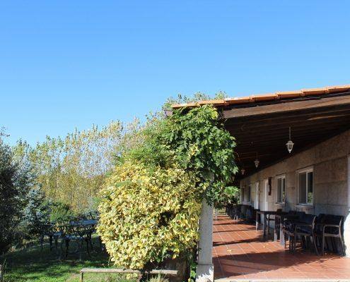 Terraço de restaurante com pergolado de madeira, videira e vegetação envolvente, mesas e cadeiras, céu limpo.