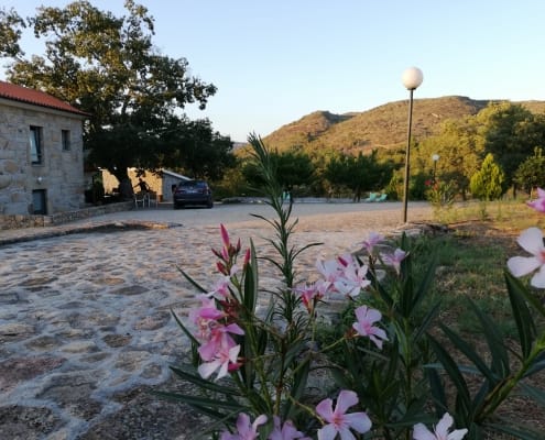 Flores cor-de-rosa em primeiro plano, quinta de pedra, montanha e árvores ao fundo ao pôr do sol