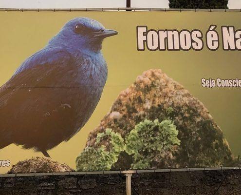 Painel publicitário com pombo-azul e formigueiro, mensagem ambiental
