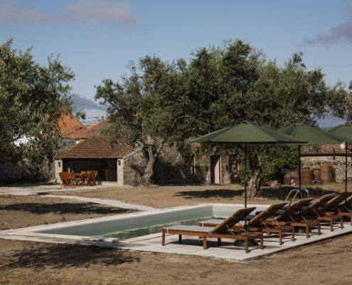 Piscina rectangular com espreguiçadeiras de madeira, tenda verde e edifícios de pedra entre oliveiras