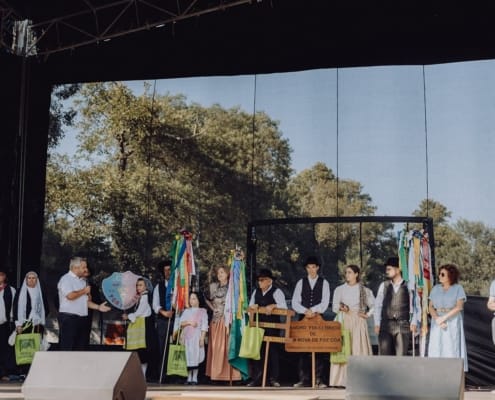 Biodiversity Festival 13
